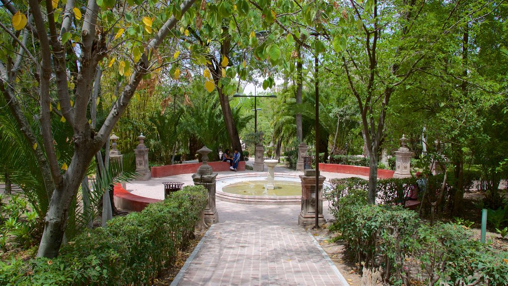 Parque Benito Juárez