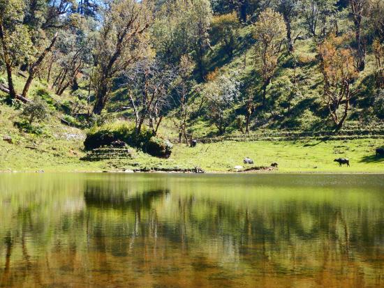 Thamri Kund
