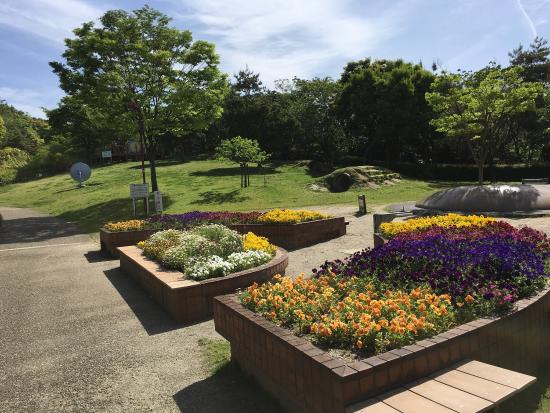Tarusaka Park
