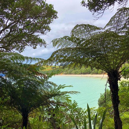 Tawhitokino Regional Park