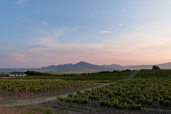 Tokaj Wine Region