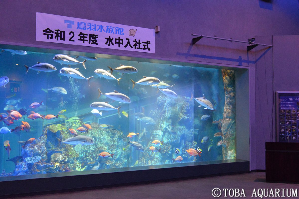 Toba Aquarium