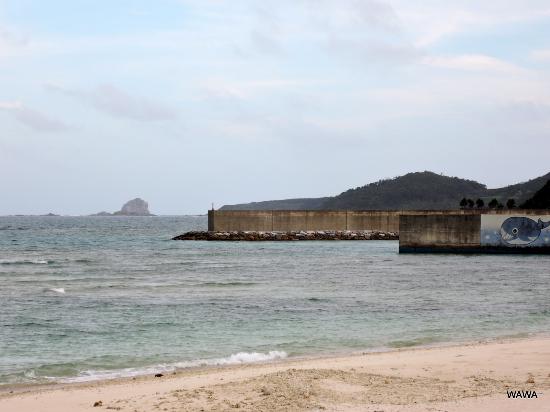 Tonbara
