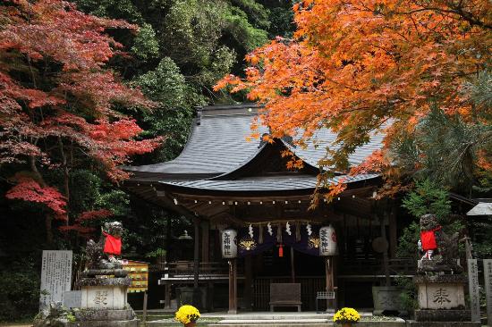 Tomi Shrine