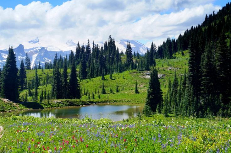 Tipsoo Lake Loop