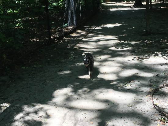 Timber Creek Park