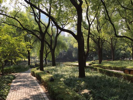 Trees Park