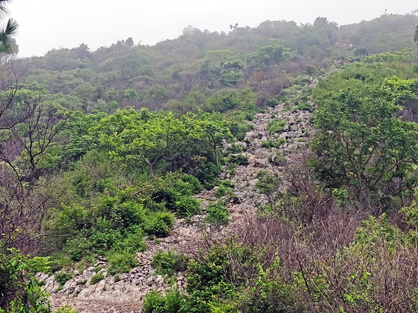 Trail 3