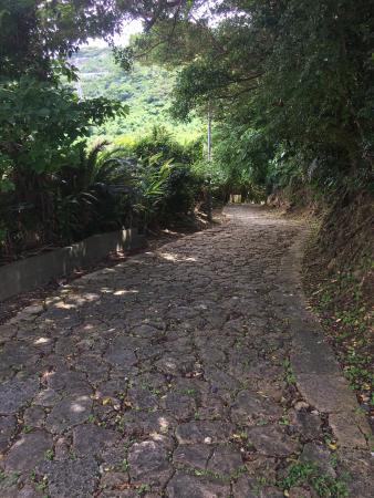 Toyamano Ishidatatami Road