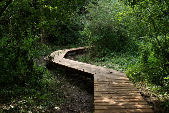 Silsombos