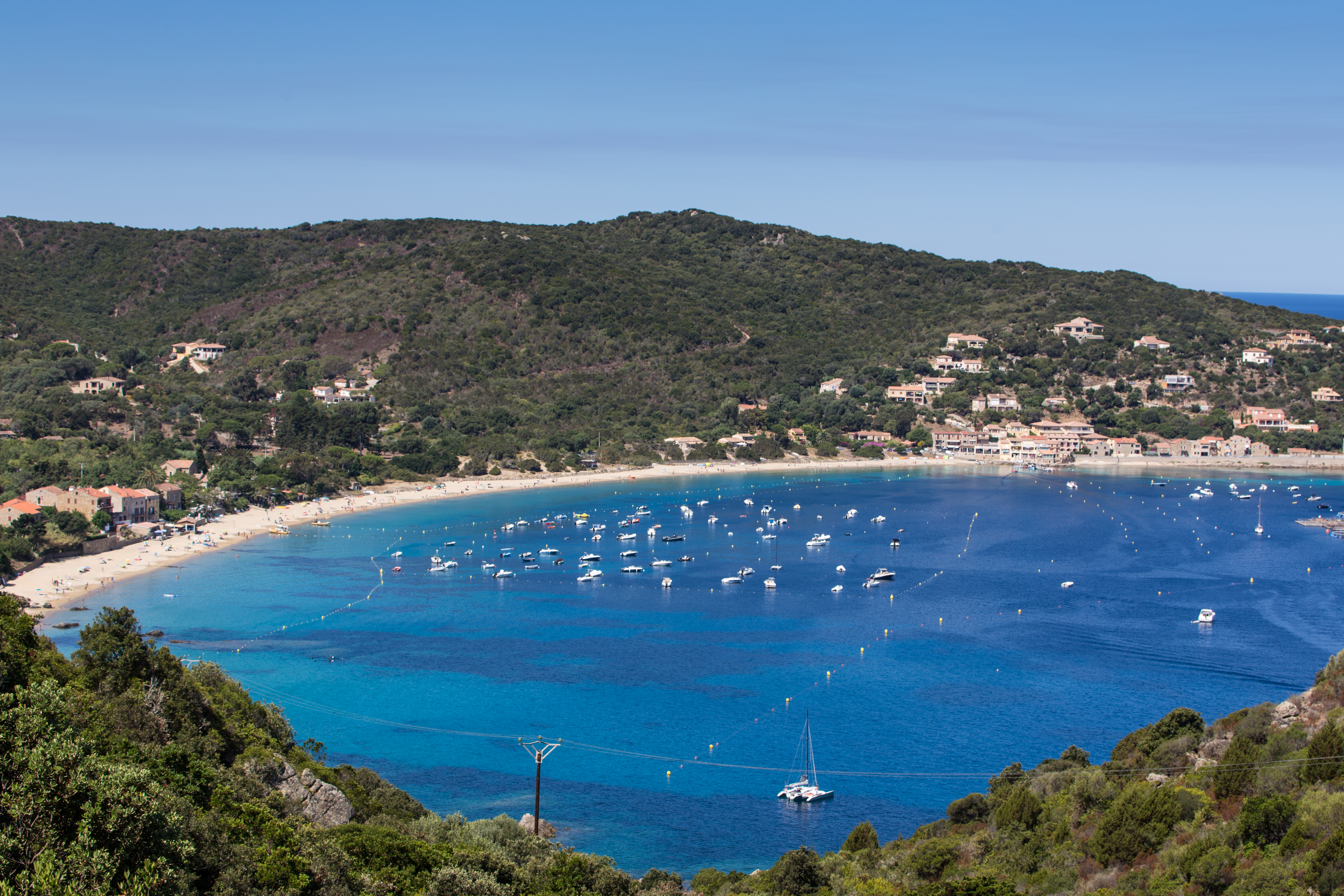 Sicreti di corsica