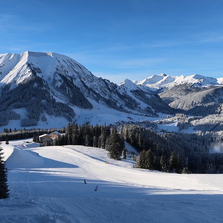 Skischaukel Bergwang