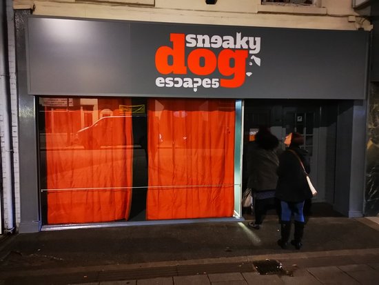 Sneaky Dog Escapes