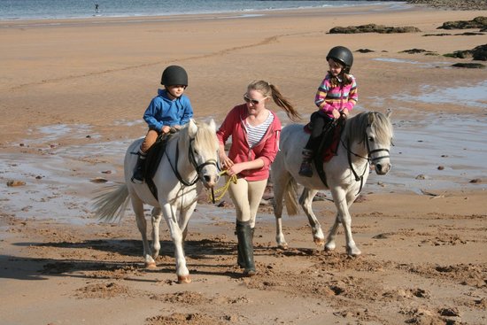 Seacliff Stables
