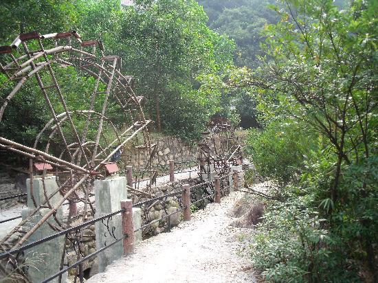 Sanzhai Valley Forest Park