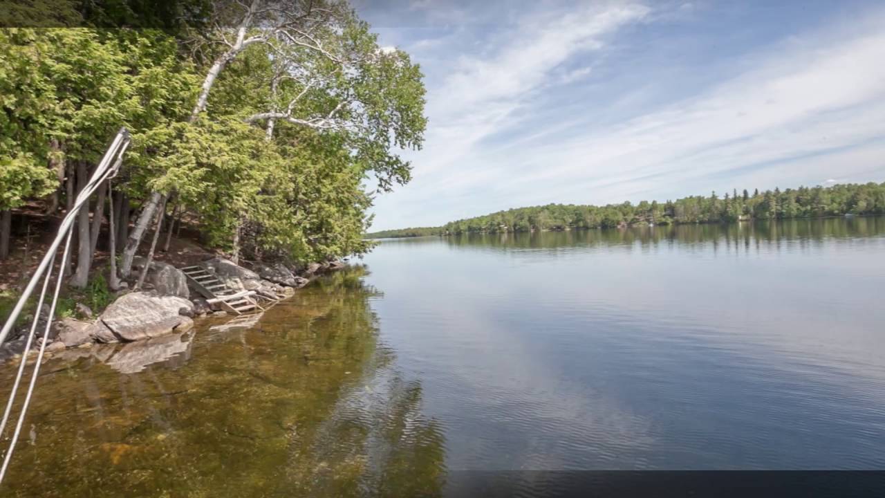 Sharbot Lake Beach