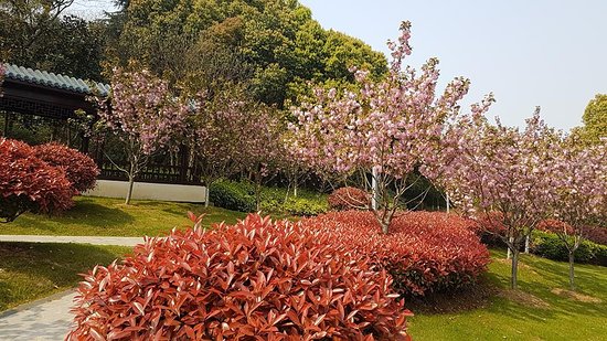 Shenshan Park