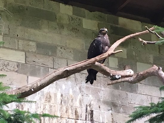 Suhler Tierpark
