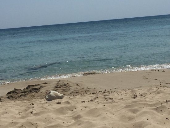 Spiaggia di Borraco