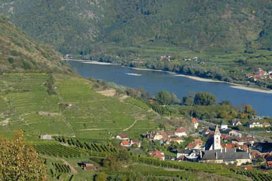 Weingut Gritsch Mauritiushof