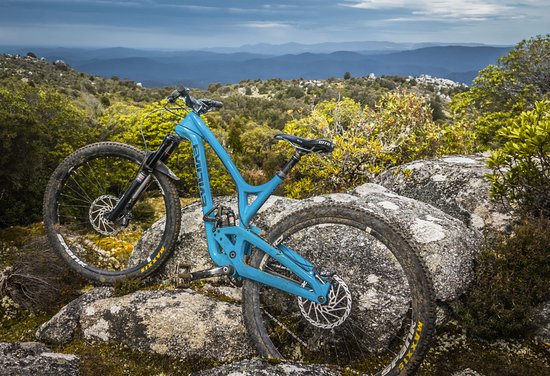 Vertigo MTB Tasmania
