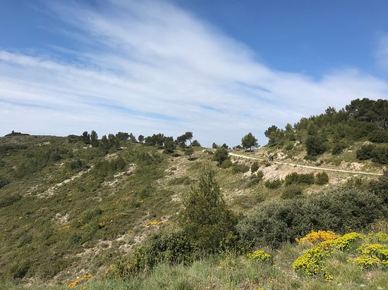 Trott Alpilles