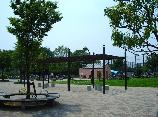 Outdoor Pictures 1