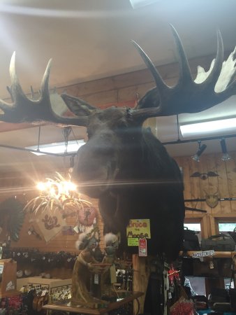 Twisted Pine Fur & Leather Co