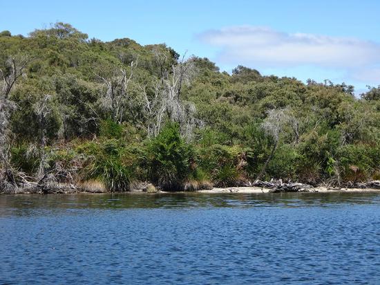 Walpole-Nornalup Inlet