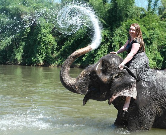 Wangpo Elephant Camp