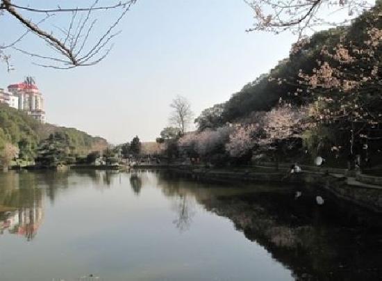 Wangyue Park