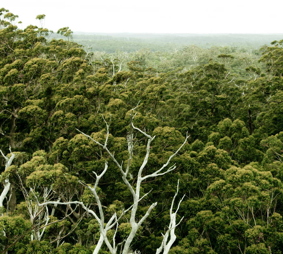 Warren National Park