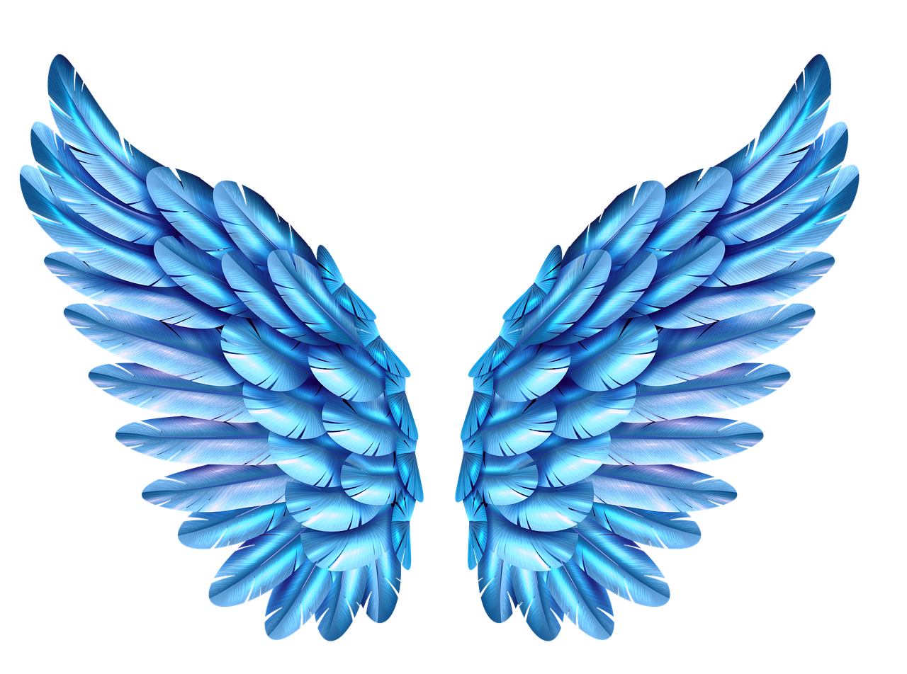 Blue Wing Moji