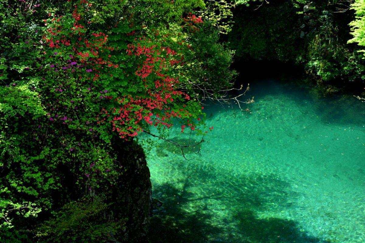 Niyodo River