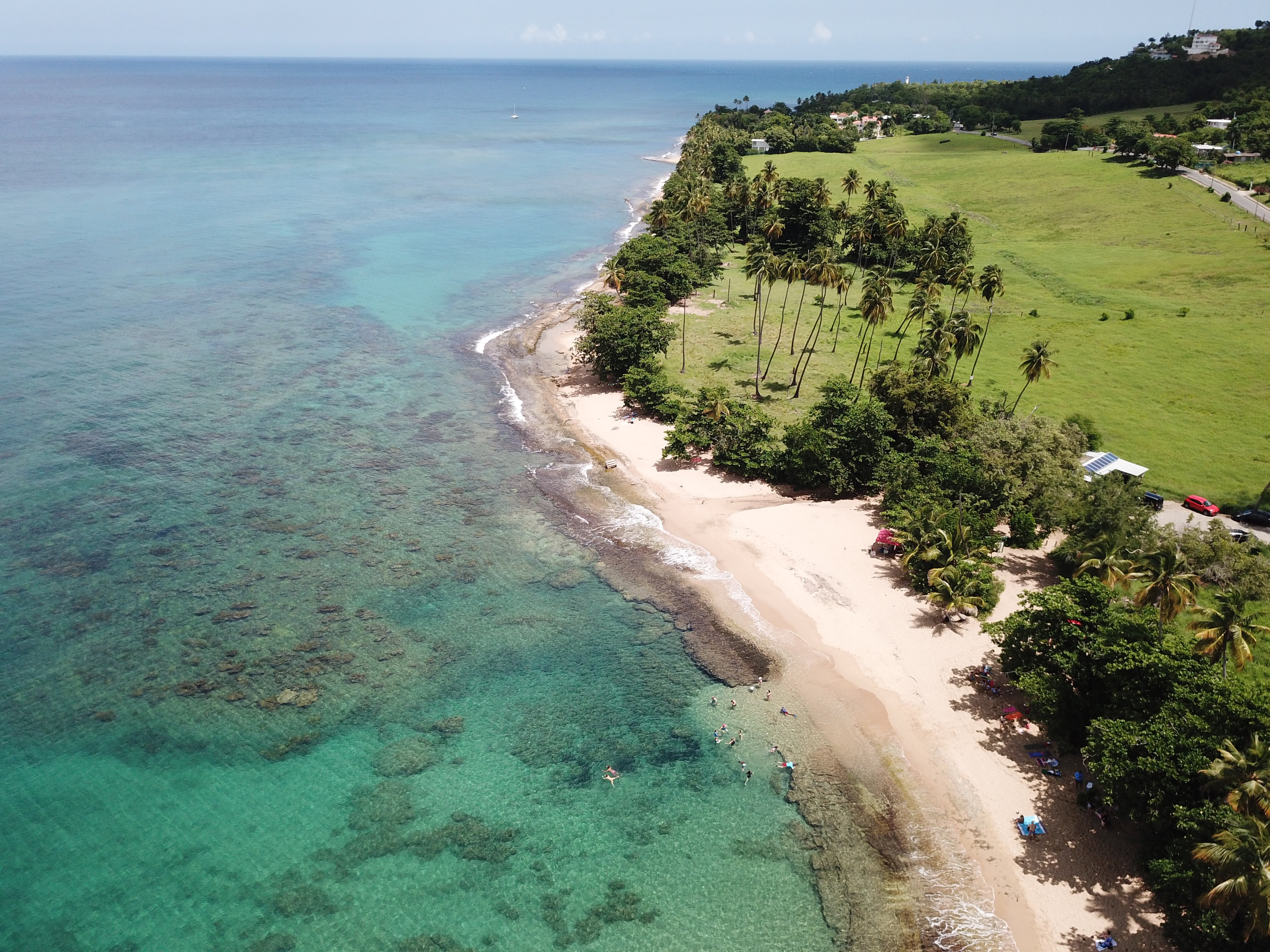 Tres Palmas Marine Reserve