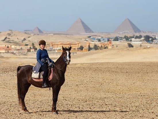 Cairo Horse Riding School