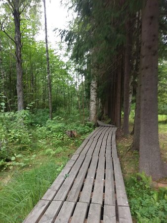Path of Nature