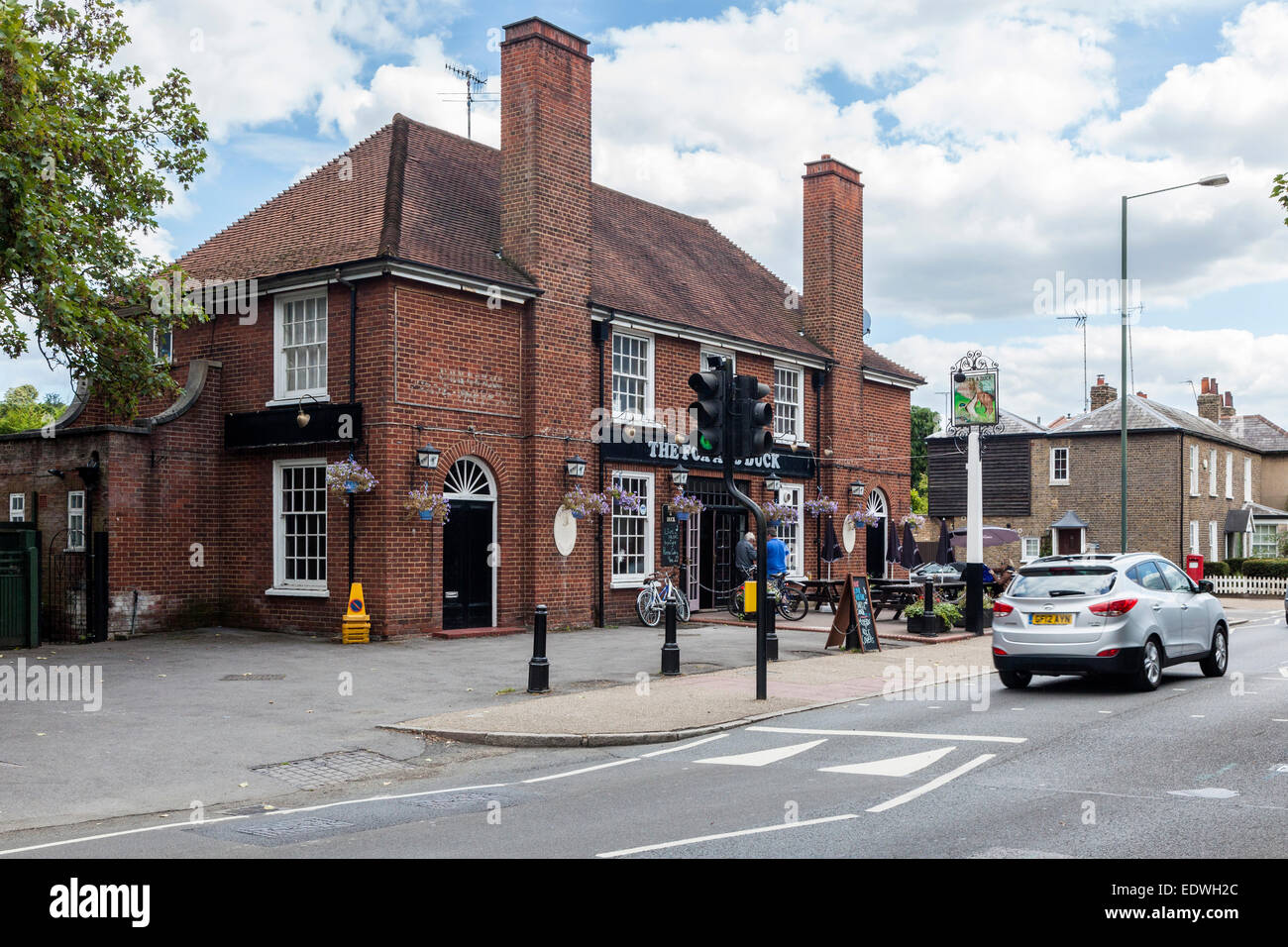 Fox and Duck Petersham