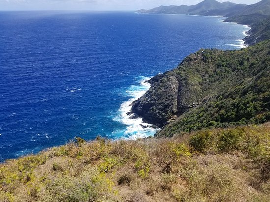 Ham's Bluff