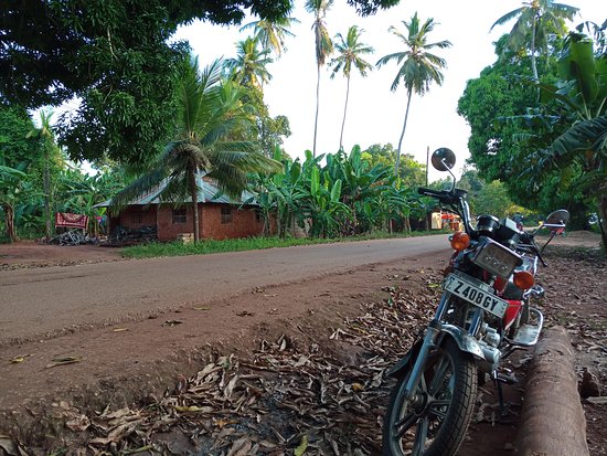 Green Village