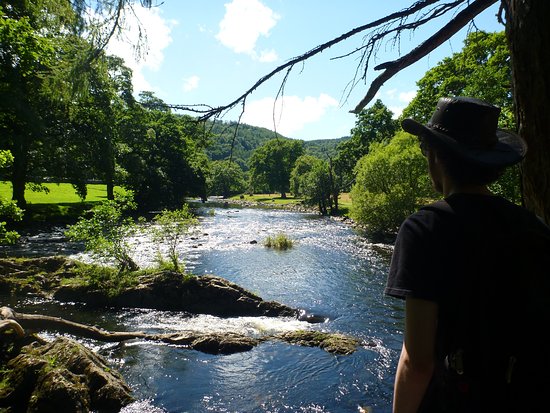 Gwydir Forest