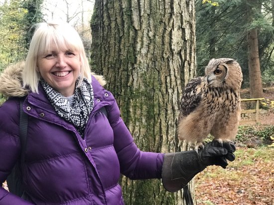 The Welsh Owl Garden