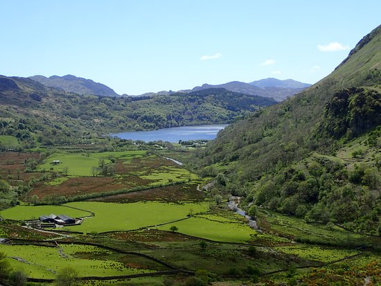 Snowdonia Safaris