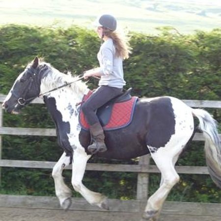 Happy Valley Riding School