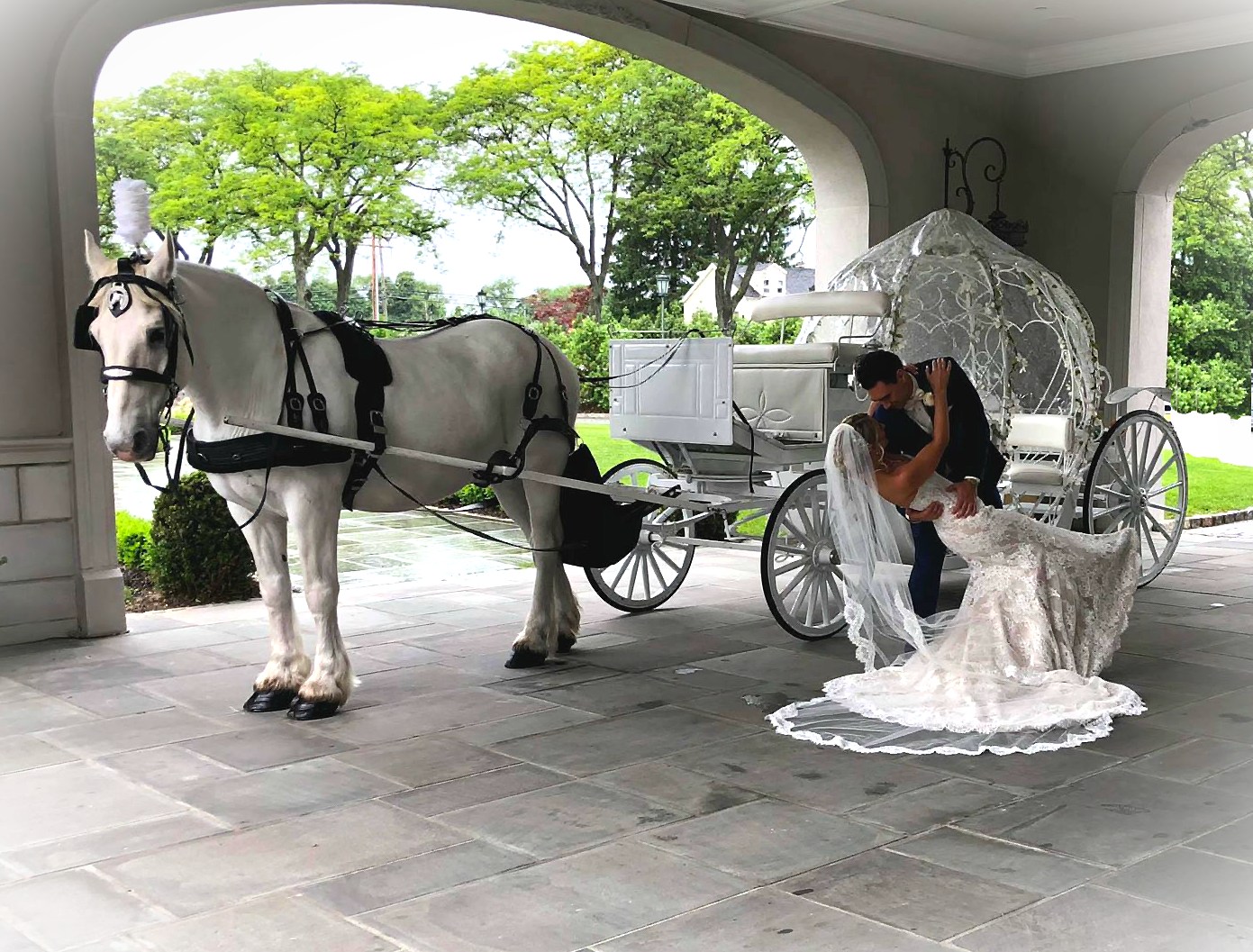 White Horse Trekking and Carriage Driving Centre