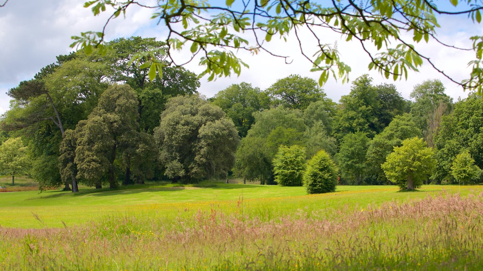 Singleton Park