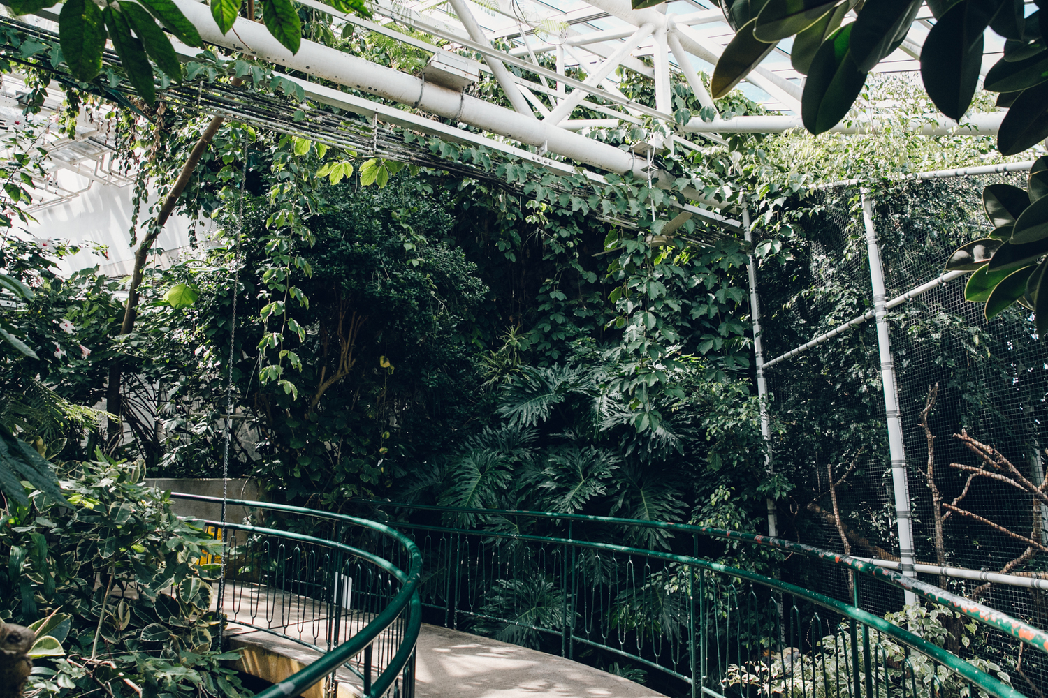 Plantasia