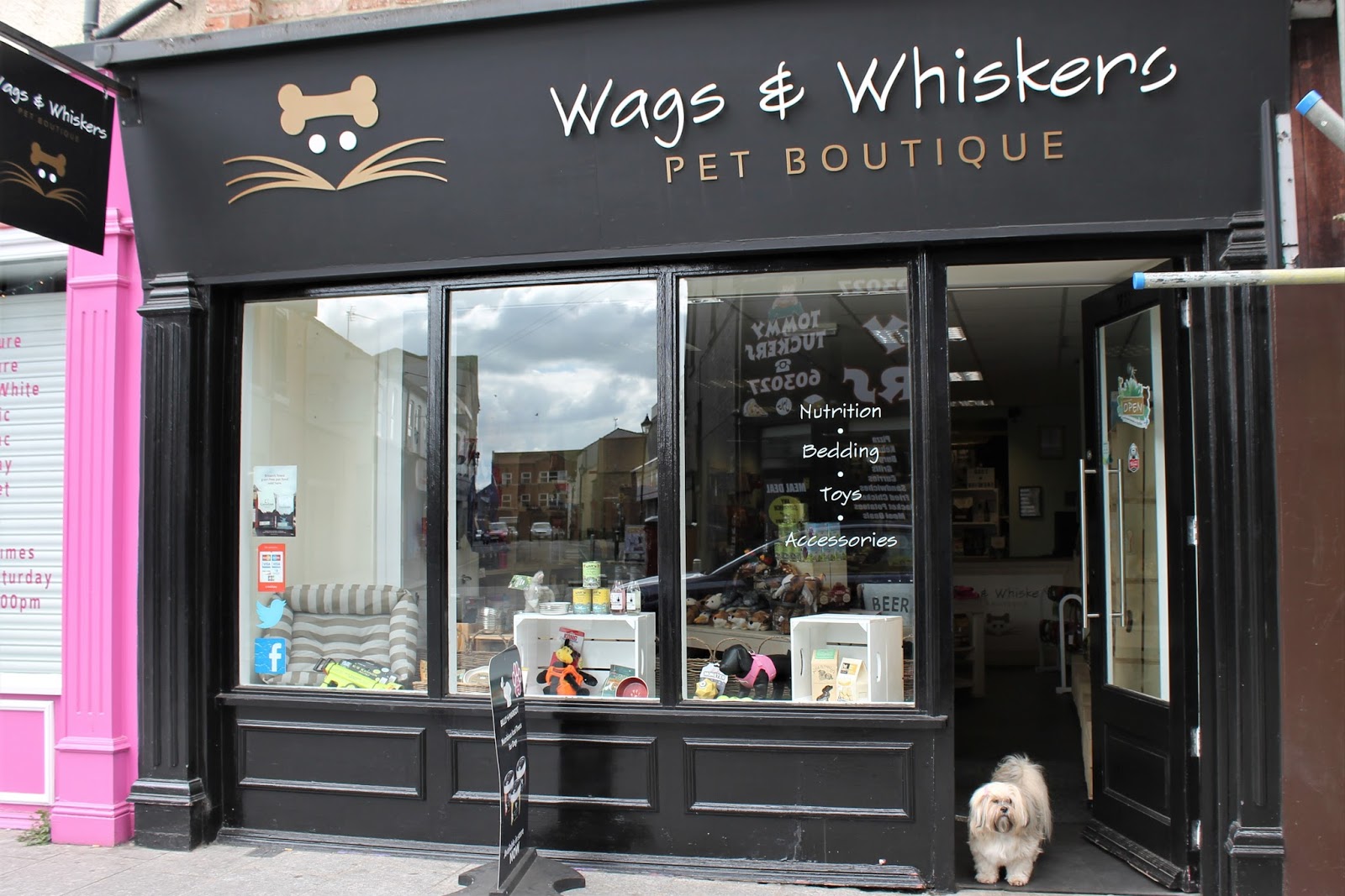 Wags & Whiskers Pet Boutique