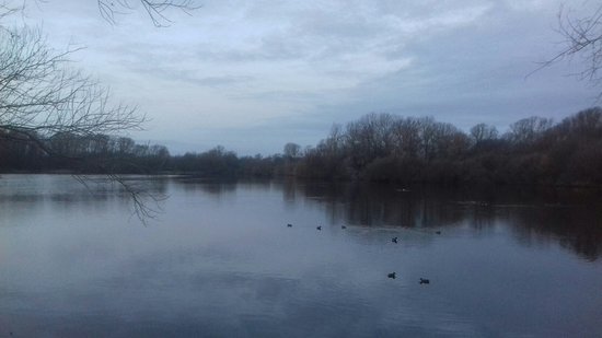 Wilson Pits Nature Reserve