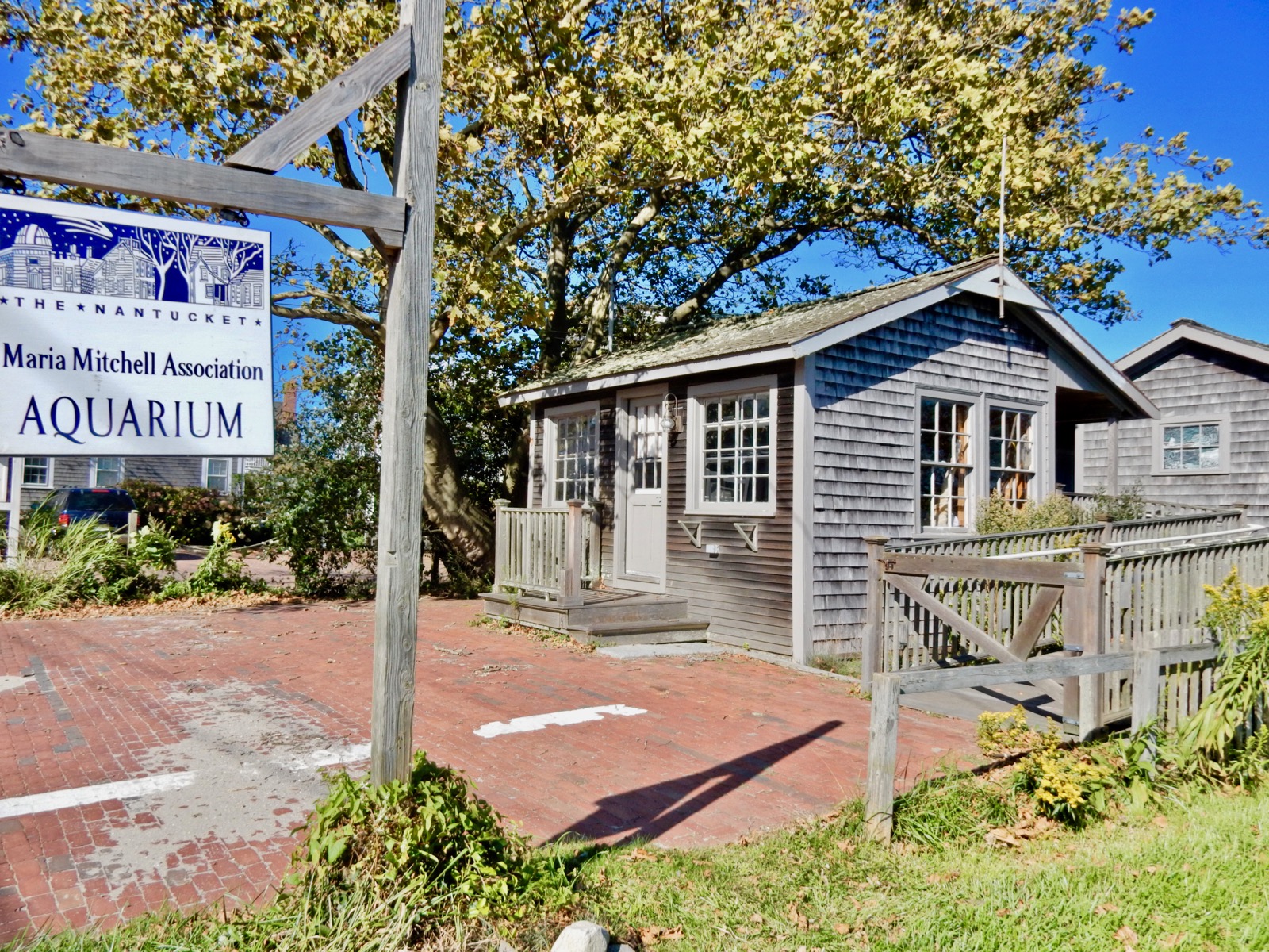 Maria Mitchell Association